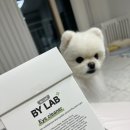 바이랩 아이클리너 &lt;아이클린 매직봉&gt; 으로 강아지 귀청소/눈곱청소 해주기