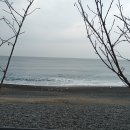 강동화암주상절리 | 울산 강동화암 주상절리~경주 지경리 해식동굴