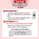 [라스베가스 여행 정보] 나 홀로 여행족도 즐길 수 있는 추천 액티비티 BEST 5 / 열기구/ 하이롤러...