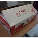 양구펀치볼사과 이미지