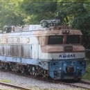 대철약수터 이미지