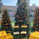 드르쿰다 이미지