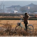 가을동화 이미지