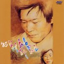 봉숭아 - 정태춘, 박은옥 1985 이미지