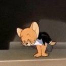 서울대학교 데이터사이언스대학원 | 26년도 전기 서울대학교 통계학과 대학원 합격 후기