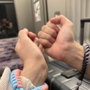 들의교 | 런던여행day1-버킹엄궁전, 빅벤, 런던아이, 웨스턴민스터 교, 근위병교대식