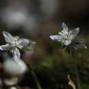 실내체육관 앞 이미지