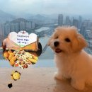 뚜드림 부산점 이미지