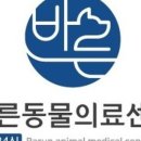 심바동물병원 이미지