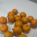 대원청과 이미지