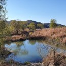 안태지천 이미지