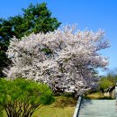 왕인박사유적지 이미지