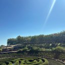 달빛마실아이휴센터 | LA 신혼여행 3일차 필수코스 • 게티센터 정원, 미술관 후기