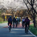 강성근 | [대전사이클존/후기]중급벙 말티재라이딩