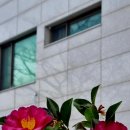 투썸플레이스연북로점 이미지