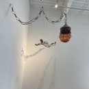 선데이로스트