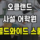 월드와이드 이미지