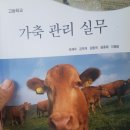 일신축산 이미지