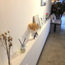 목포부설초등학교정문 | 목포 용해동 맛집 ‘4769 양식당’