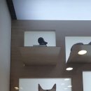 우리은행 은행사박물관 이미지
