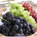 제일보청기 이미지