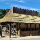 참나무쟁이카페 이미지