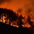 울진봉평리신라비전시관 이미지