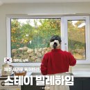 빌레하임