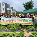 슬기네 농장 이미지