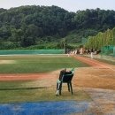 36년 전통..한강 리그 모집 안내..서울.김포.인천.부천.일산.. 이미지