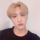 선율 이미지