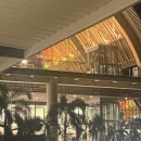 365  정보통신 | 링심 이심 esim 필리핀 세부보홀 4박6일 사용후기 설치방법