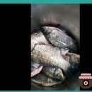 시골건강원 - 포항시 남구 정몽주로 727-11 | 시골건강원