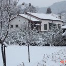 영인산자연휴양림 이미지