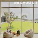 푸르댕댕 | 청주 실내 애견동반카페 푸르댕댕 후기