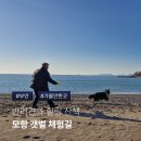 모항농장 이미지