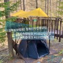 산속 복층캠핑장, 경북 봉화 5성급 캠핑장 청옥산자연휴양림 후기(221번 데크)