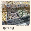 화이트래빗 | 중국 상하이 여행 : 난징동루 ‘화이트래빗’ 우유사탕 토끼사탕 맛 후기(기념품 가격)