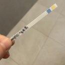 대평약국 | [임신출산]-30~31주차기록/임산부인공눈물처방, 세종출산준비교실, 산부인과정기진료, 압박스타킹 손목...