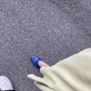 코코번 이미지