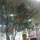 명옥농장 이미지