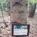 설악산오색마을 이미지