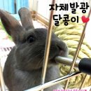 이가유기