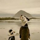 (주)퍼니펫 이미지