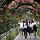 장미공연장 이미지