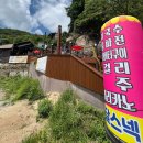 온달스넥 이미지