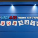 해물308 이미지