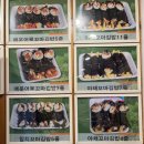 키다리꼬마김밥 이미지