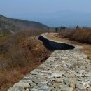 대국