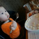 비스포레 이미지